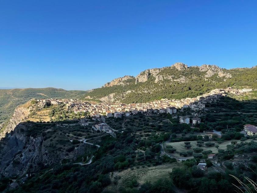 شيفيتا B&B Dhafna المظهر الخارجي الصورة