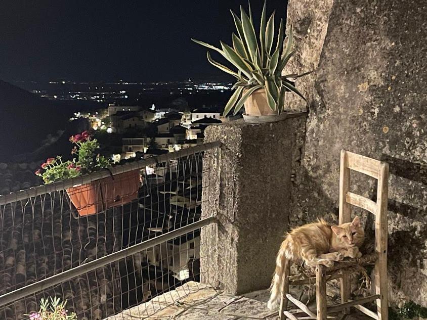 شيفيتا B&B Dhafna المظهر الخارجي الصورة