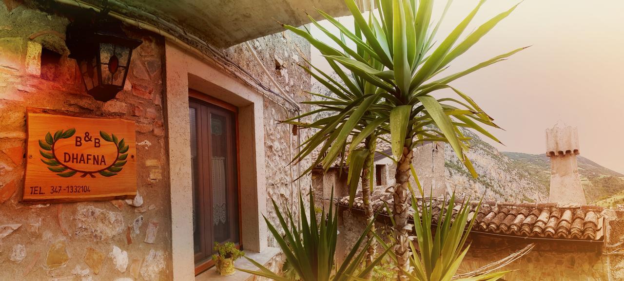 شيفيتا B&B Dhafna المظهر الخارجي الصورة